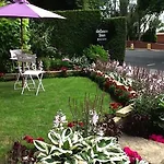 Shelbourne House 4* Харрогейт